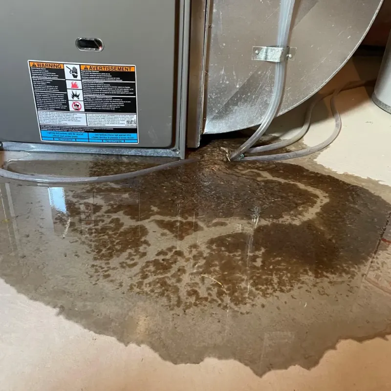 Appliance Leak Cleanup in Eyota, MN